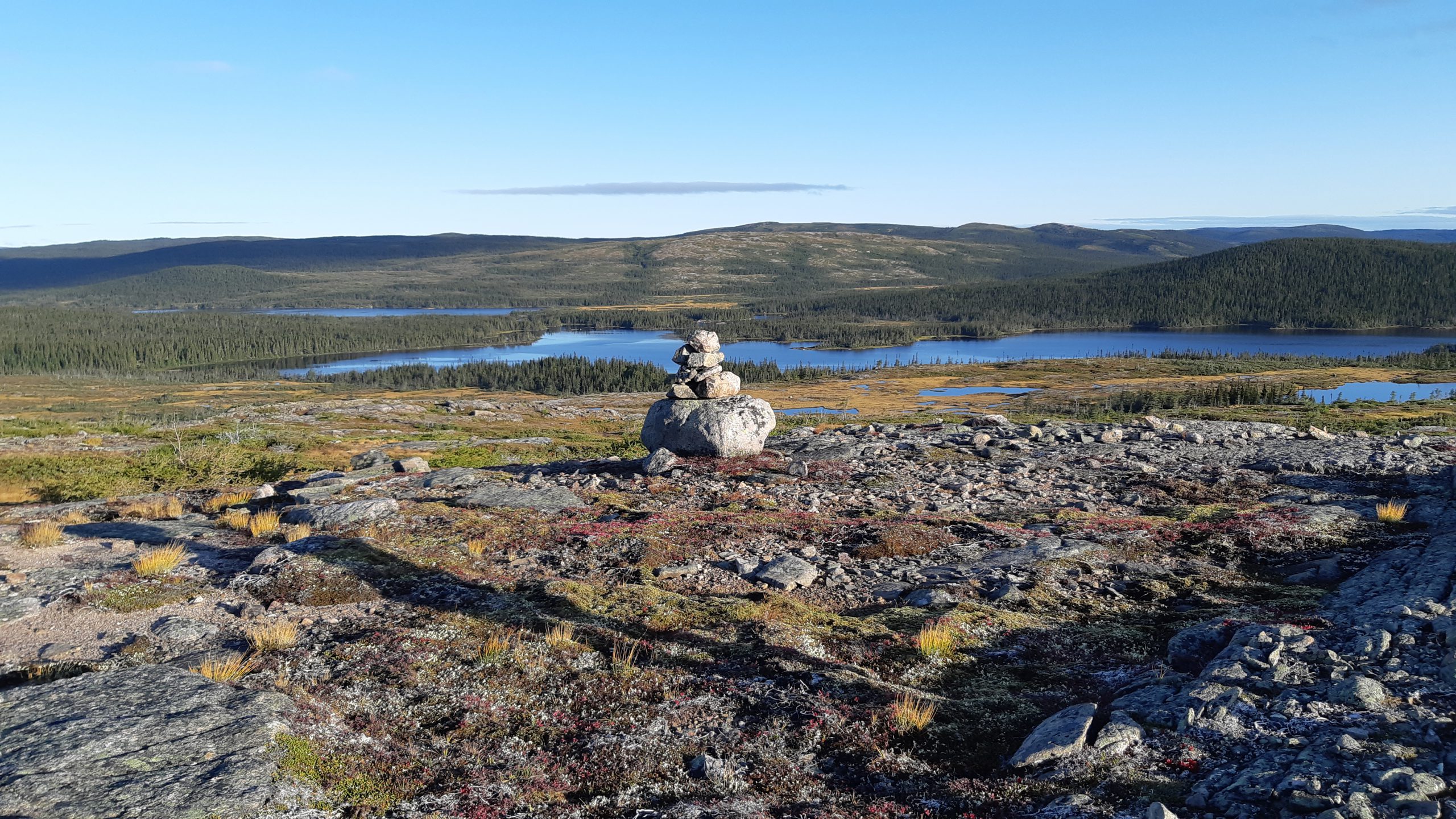 Chasse trophée à l'orignal - Camp avancé — Off the Grid Adventures – Off the Grid Adventures